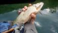 IMG 20160505 073901-1-web
