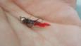 IMG 20160505 084421-web