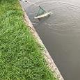 IMG 8082b