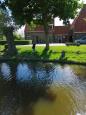 IMG 20190511 162310